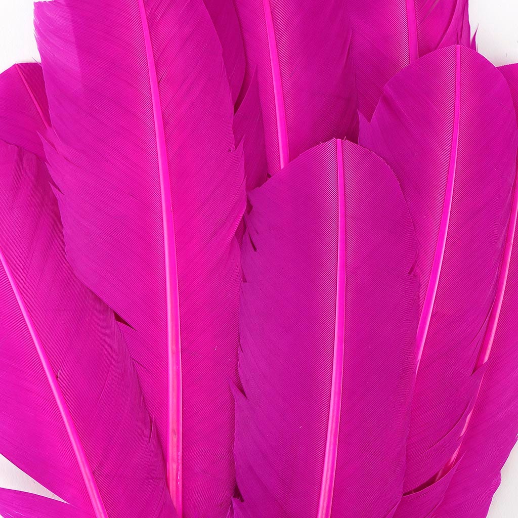 Turkey Quills Selected - Very Berry