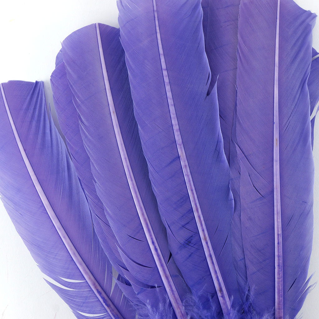 Turkey Quills Selected-Lavender
