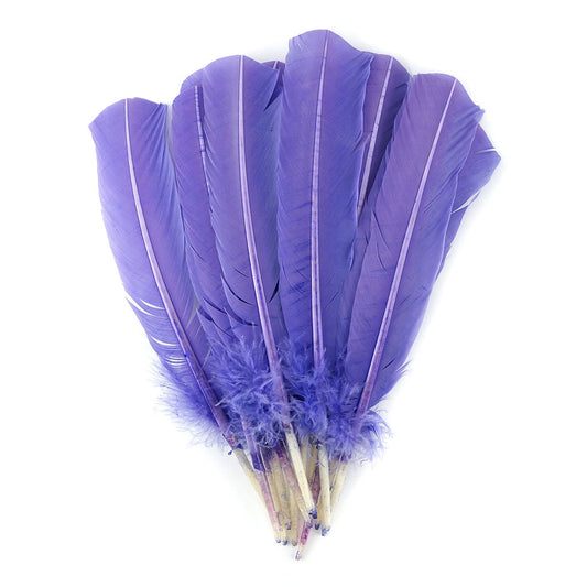 Turkey Quills Selected-Lavender