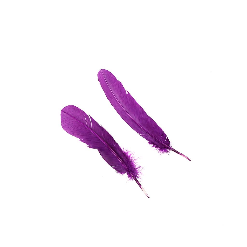 Turkey Quills Selected - Purple