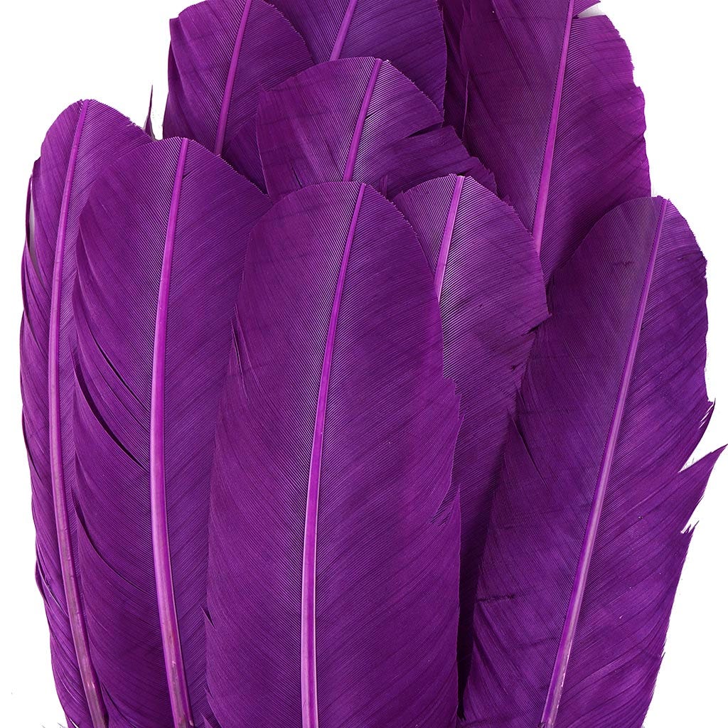 Turkey Quills Selected - Purple