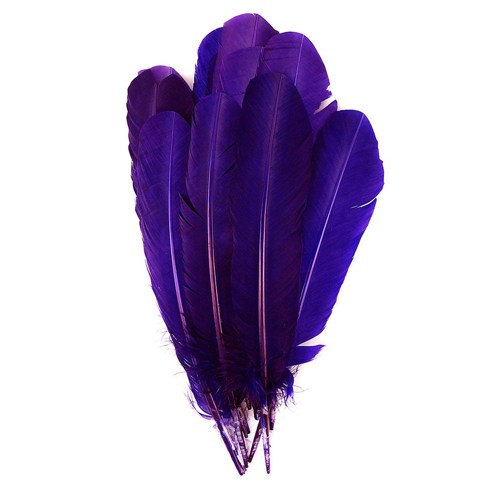 Selected Regal Purple Turkey Quills | Buy Right Wing Feather ...