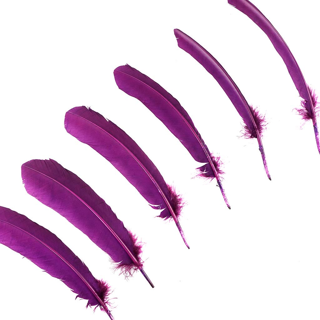 Turkey Quills by Pound - Left Wing - Purple