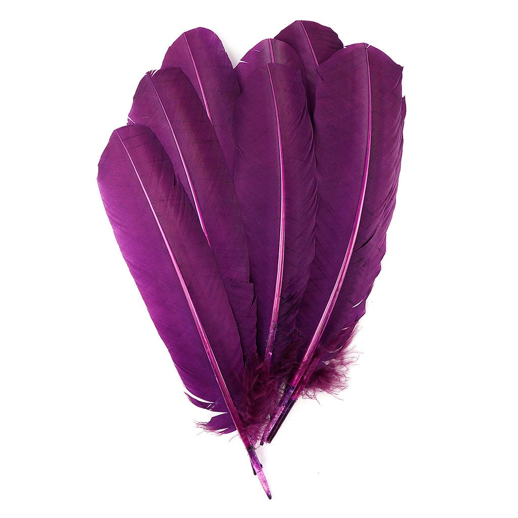 Turkey Quills by Pound - Left Wing - Purple