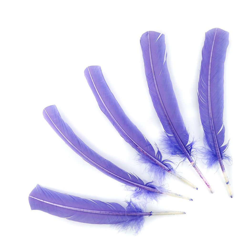 Turkey Quills by Pound - Right Wing - Lavender