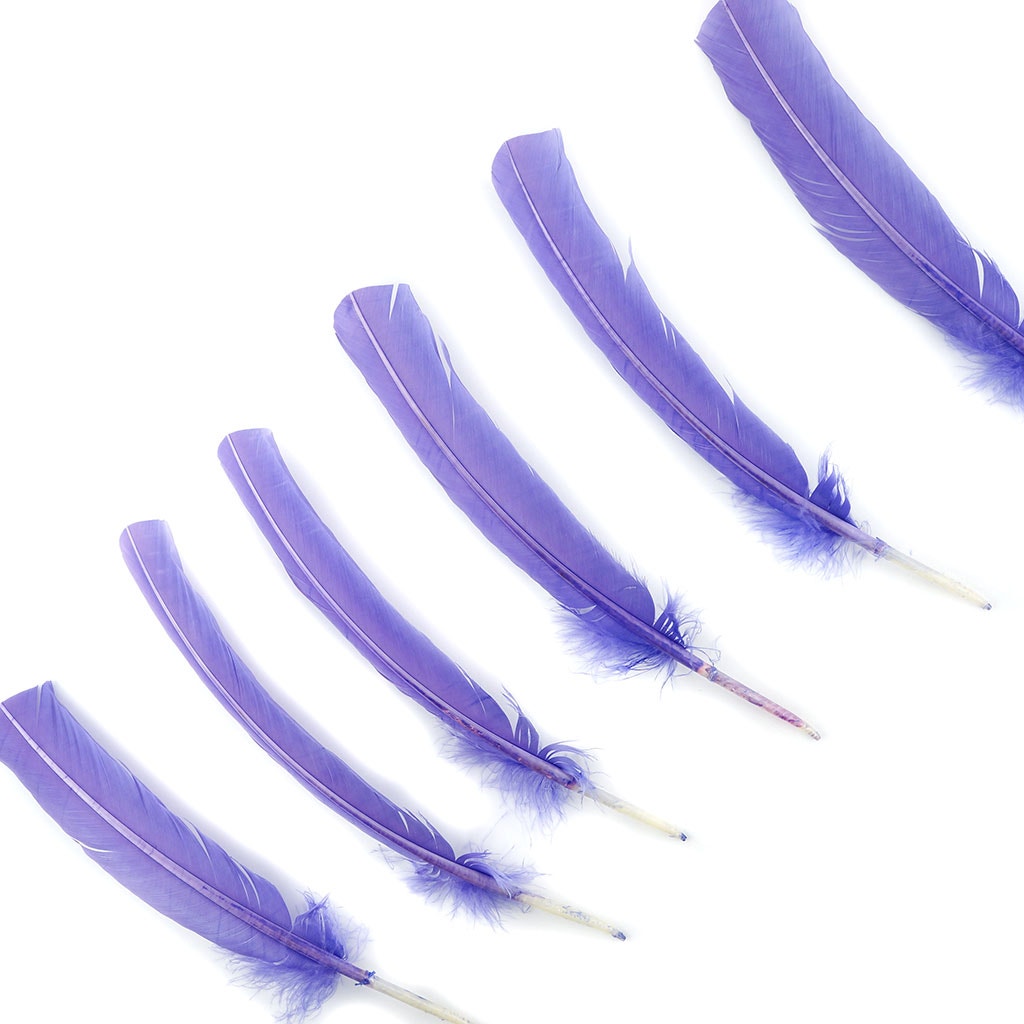 Turkey Quills by Pound - Right Wing - Lavender