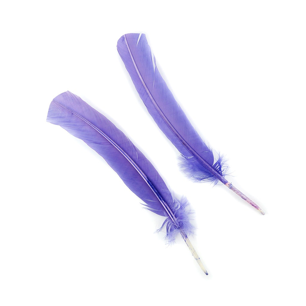 Turkey Quills by Pound - Right Wing - Lavender