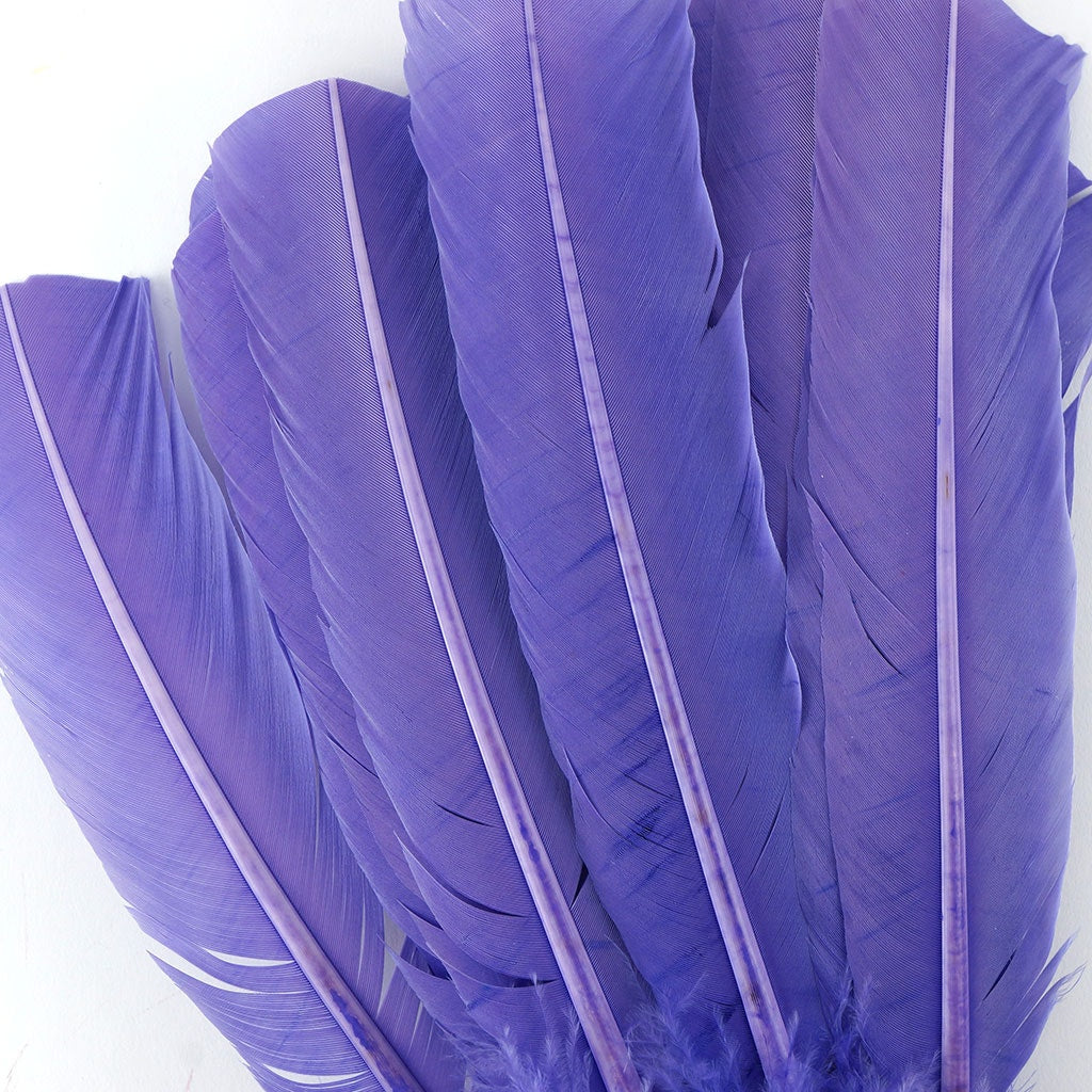 Turkey Quills by Pound - Right Wing - Lavender