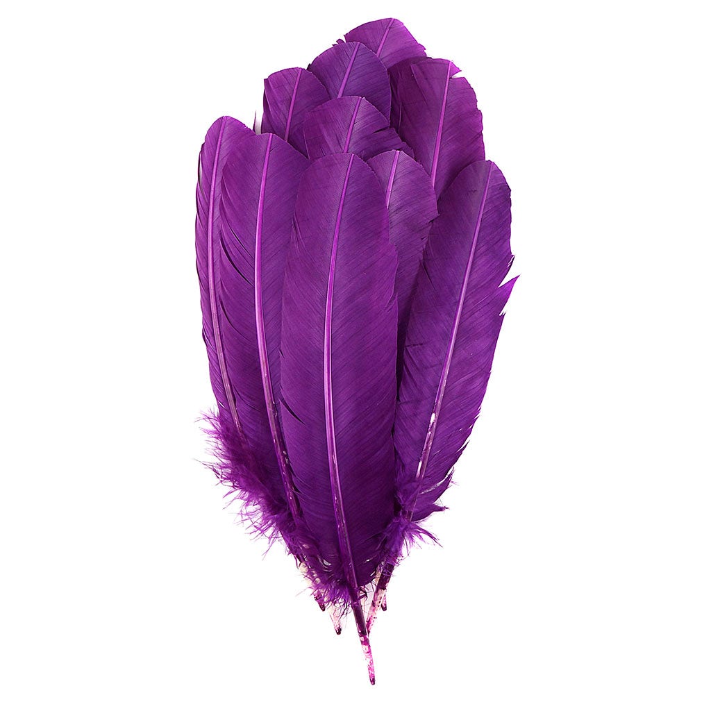 Turkey Quills by Pound - Right Wing - Purple