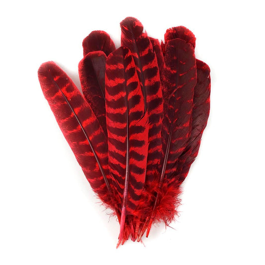 Barred Turkey Quills - Left Wing - 8-12 Inches - 12 pc - Hot Red