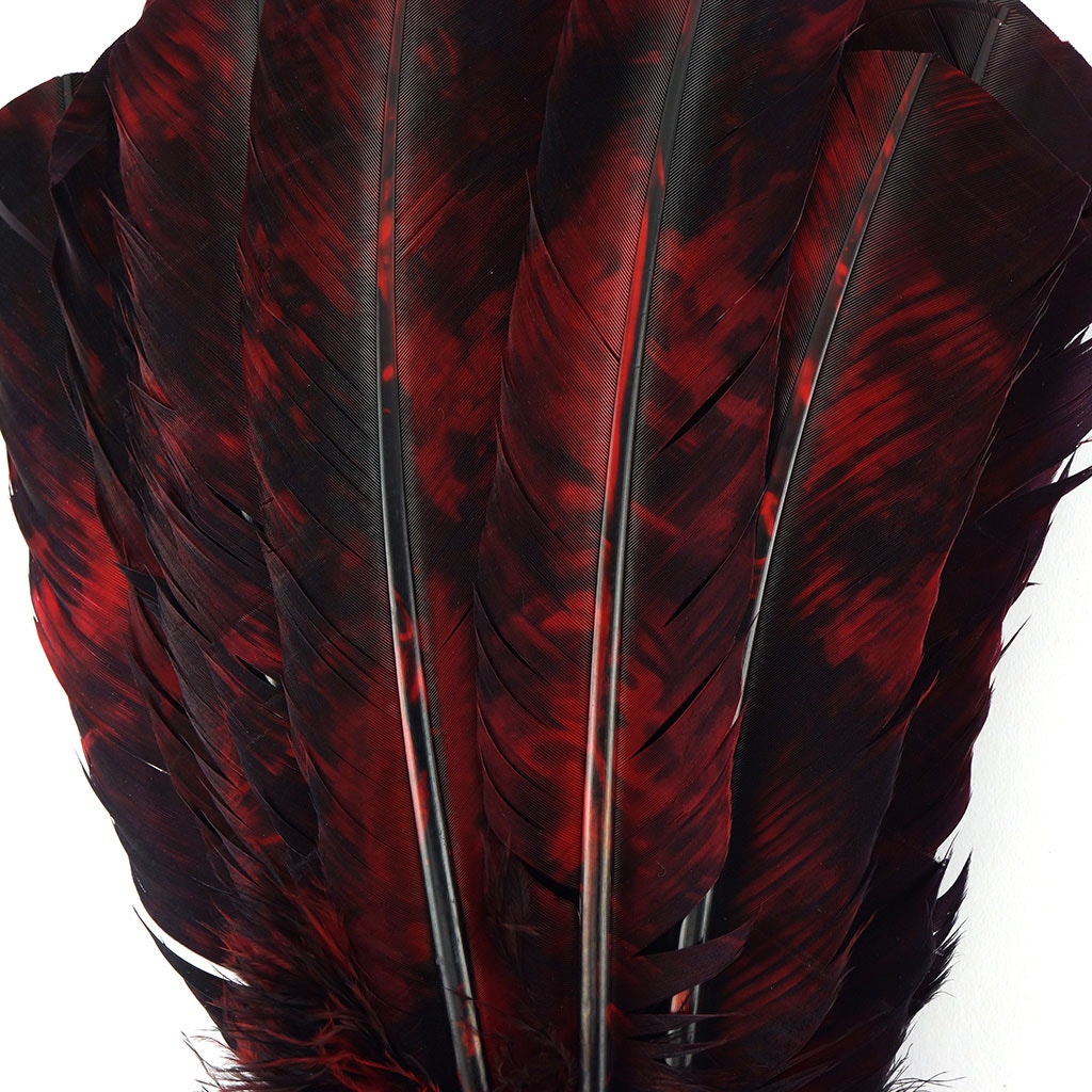 Custom Tie-Dyed Turkey Feathers Quill Right Wing - Red And Black