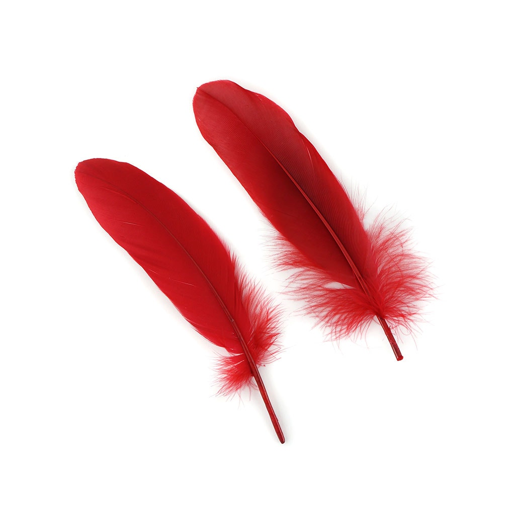 Bulk Goose Pallet Feathers 6-8 Inch - 1/4 LB - Red