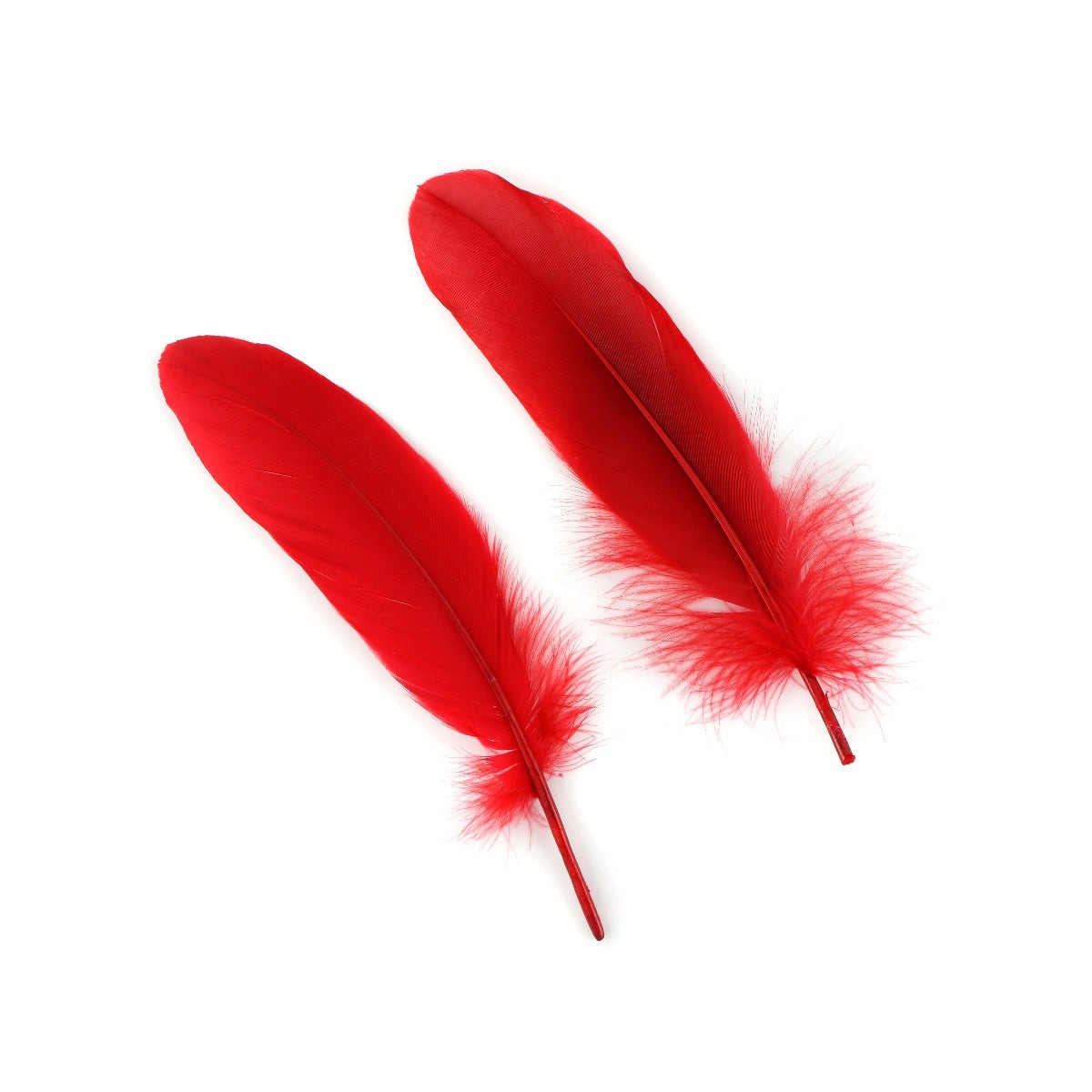Bulk Mango Goose Pallet Feathers  Buy 6 to 8 Inches Goose Feathers –  Zucker Feather Products, Inc.