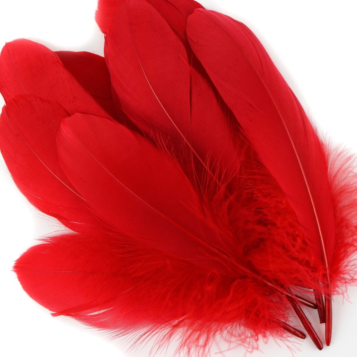 Goose Pallet Feathers 6-8" - 12 pc - Red