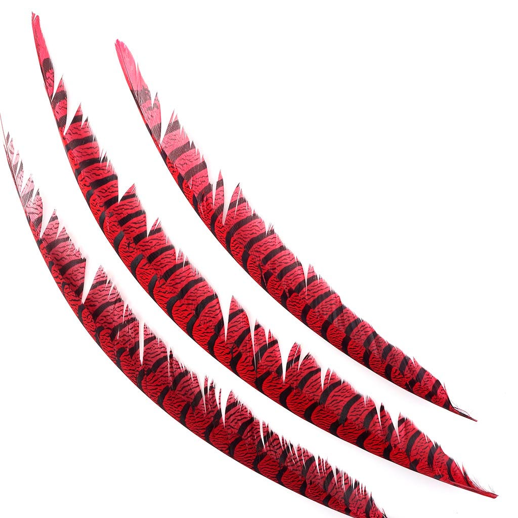 Lady Amherst Pheasant Tails Red