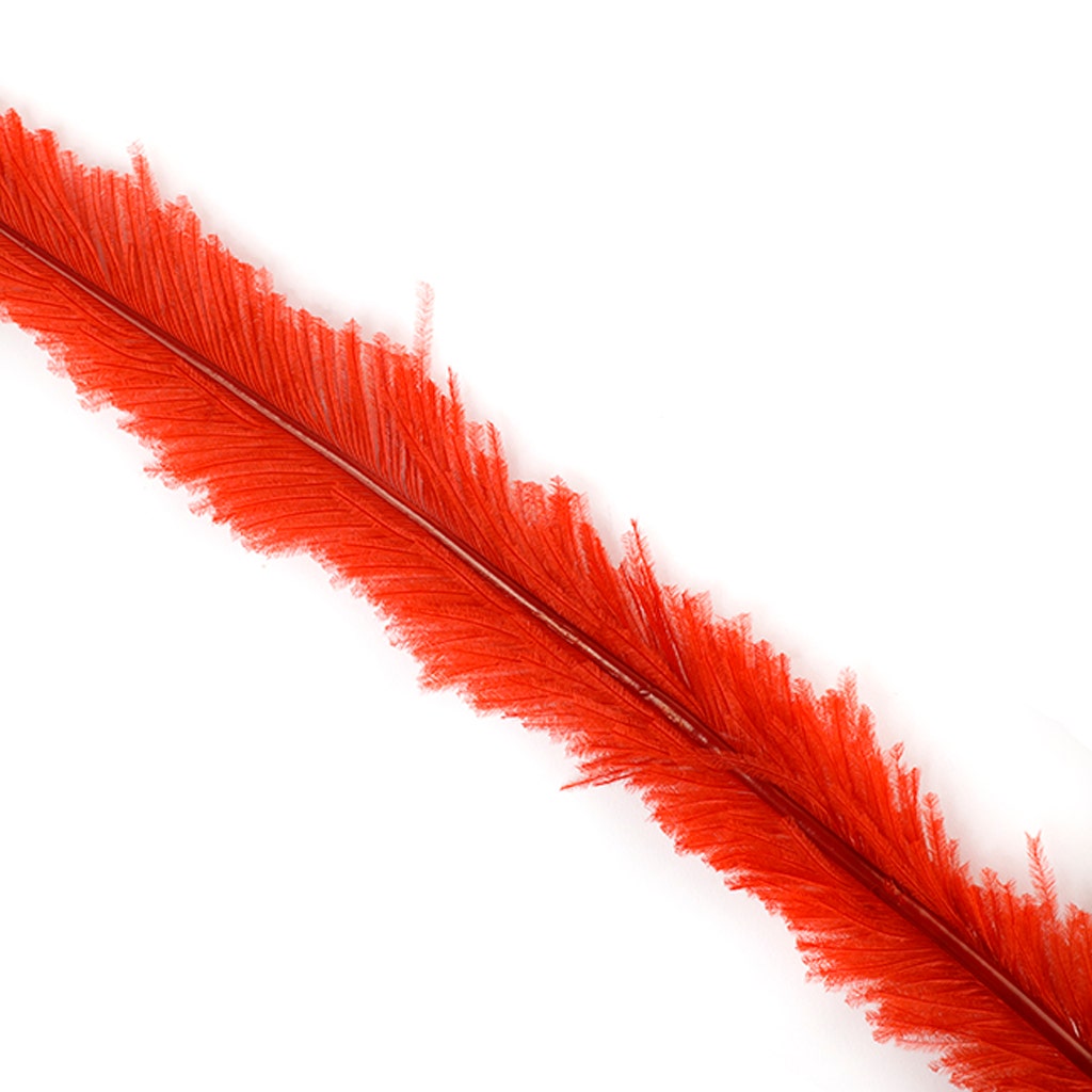 Ostrich Nandu Feathers - Red