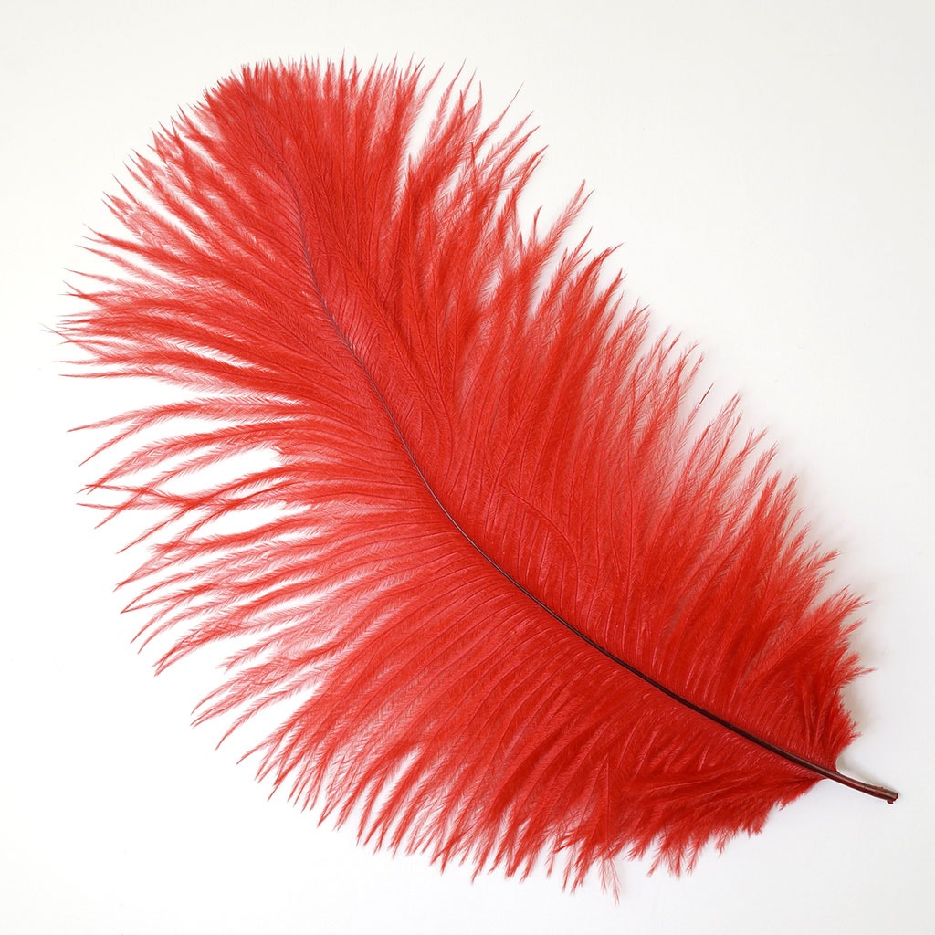 Ostrich Feathers 9-12 Drabs - Shocking Pink