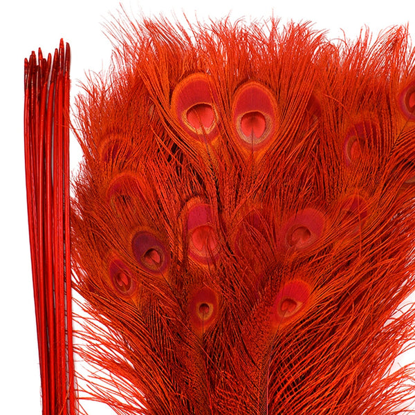 Peacock Tail Eyes Bleached Dyed Red | Buy 30-40 Inches