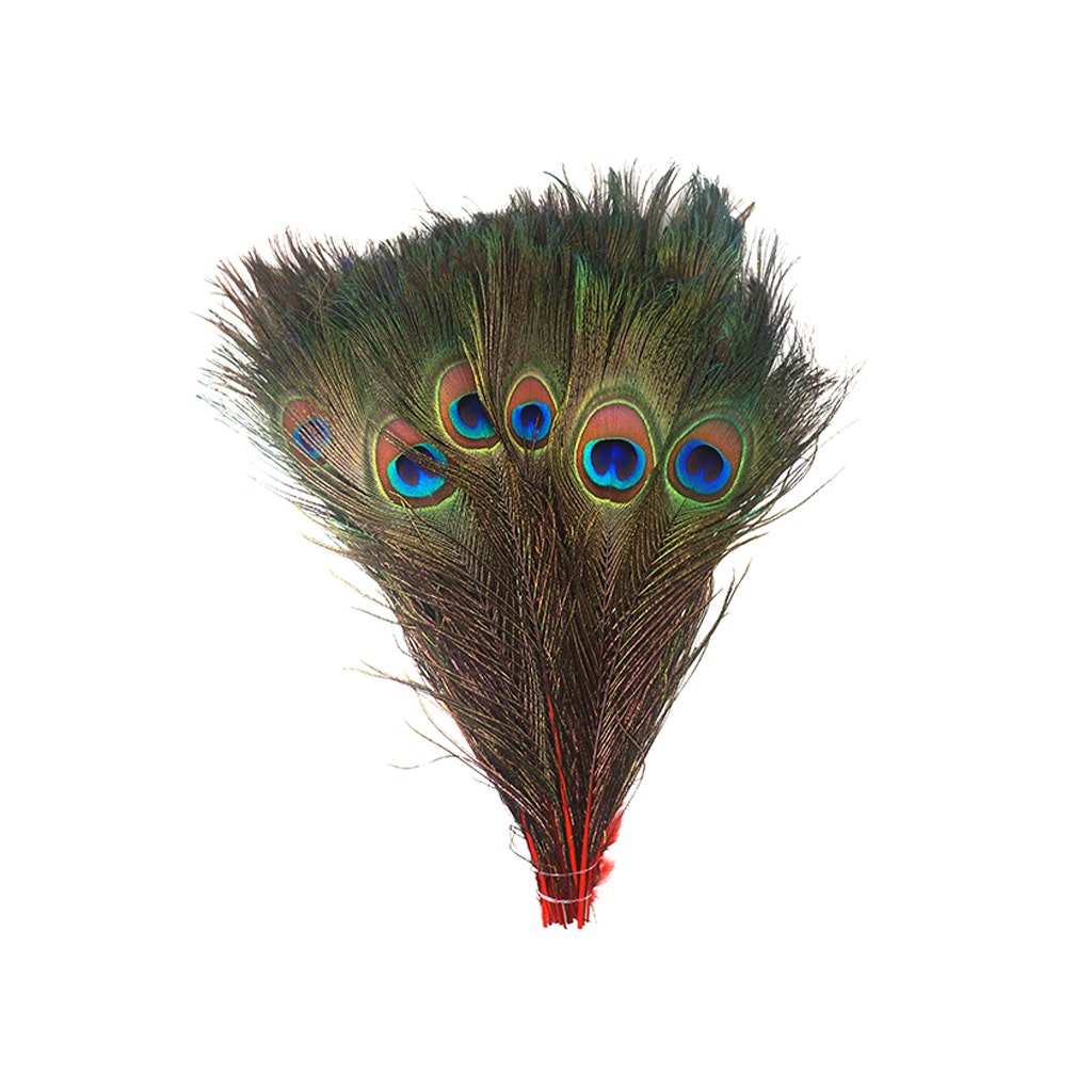 Bulk Peacock Eye Feathers (Full Eye) Stem Dyed 100 PC 8-15" - Red