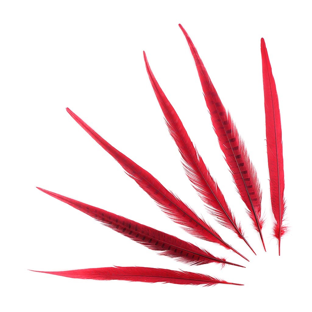 Assorted Pheasant Tails Dyed - Red