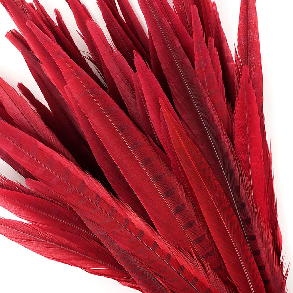 Zucker Feather - Pheasant Tails Assorted Bleached - Red