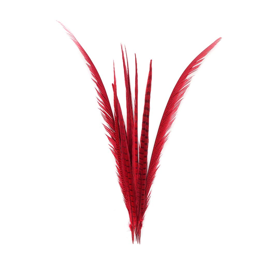 Pheasant Tails Assorted Bleached - Red