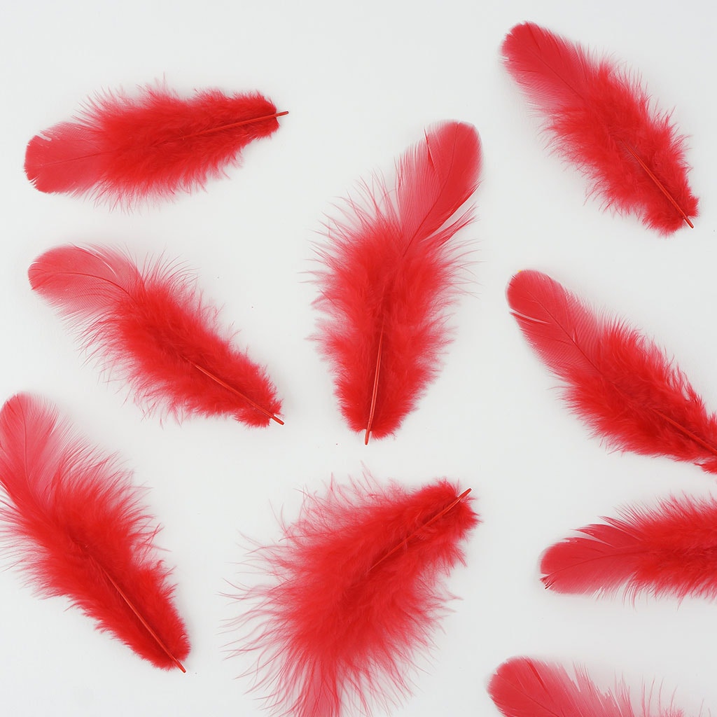 Rooster Plumage-White-Dyed - Red