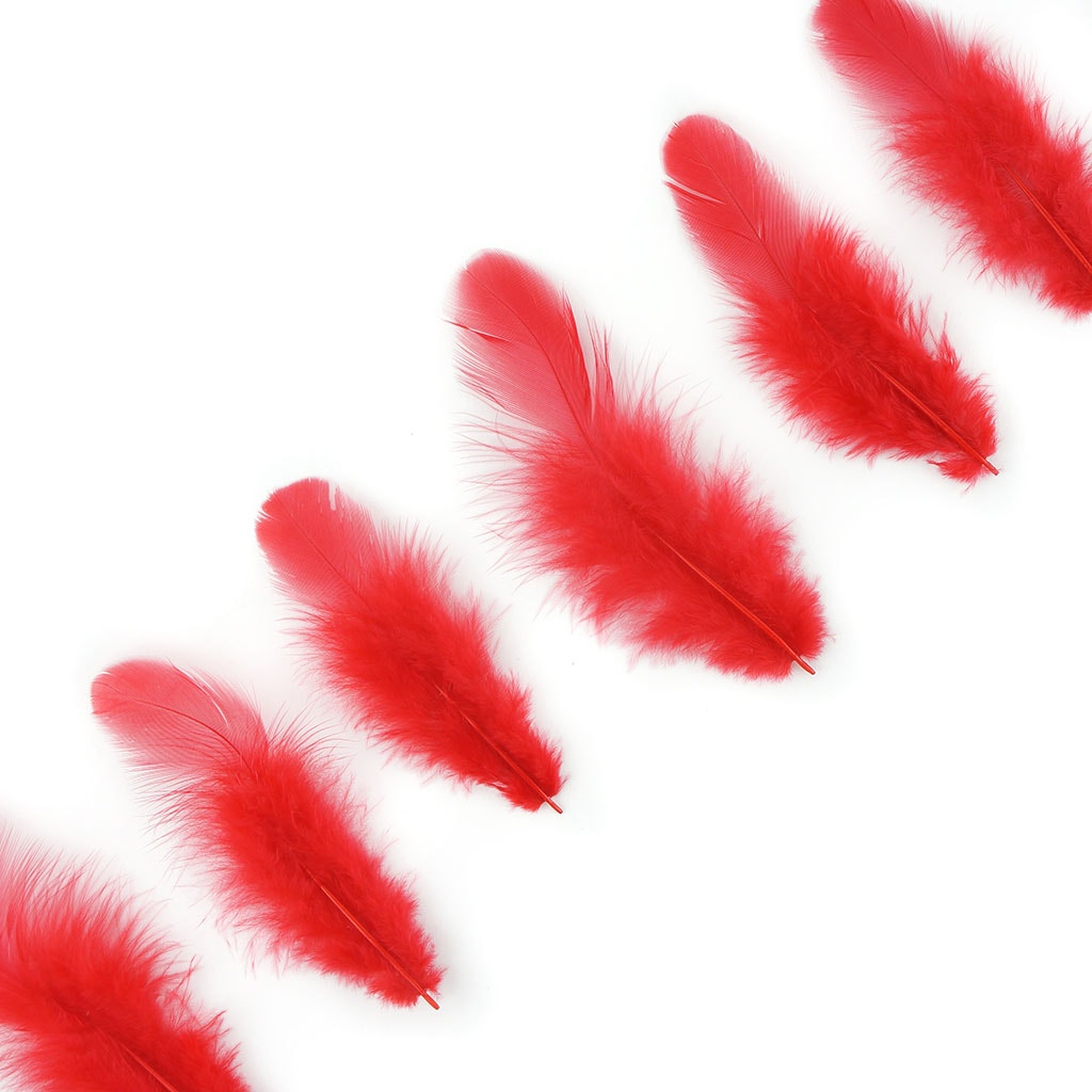 Rooster Plumage-White-Dyed - Red