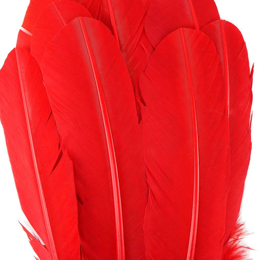 Turkey Quills Dyed - Red