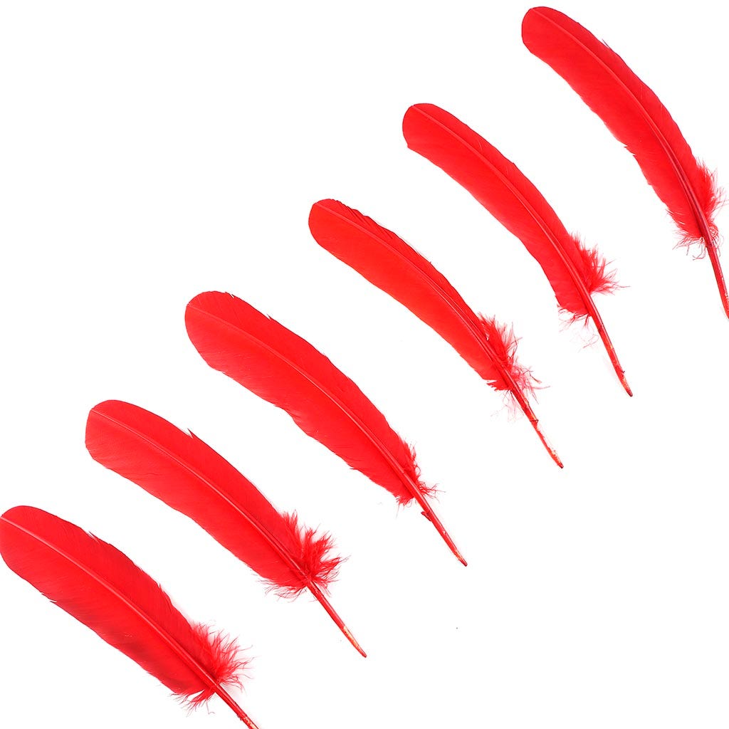 Turkey Quills Selected - Red