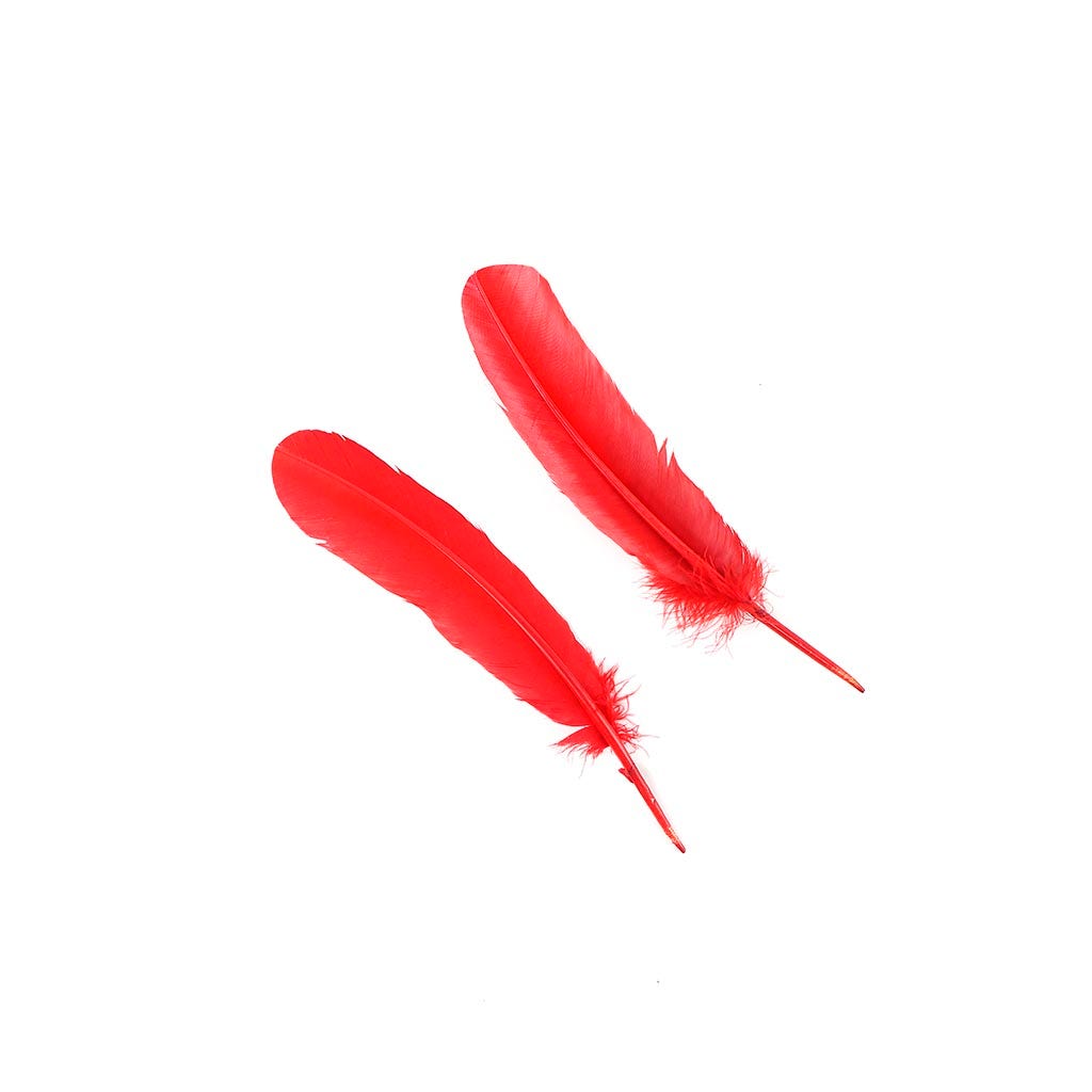 Turkey Quills Selected - Red
