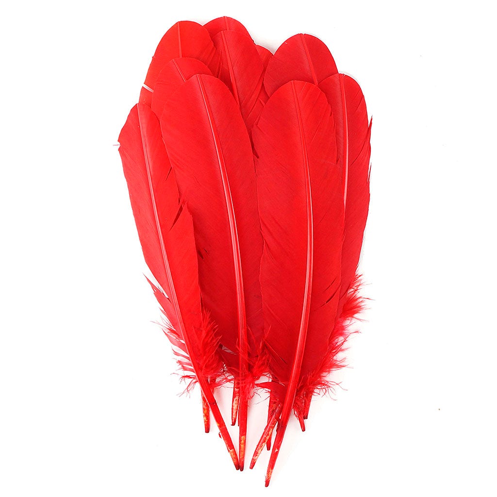 Turkey Quills Selected - Red