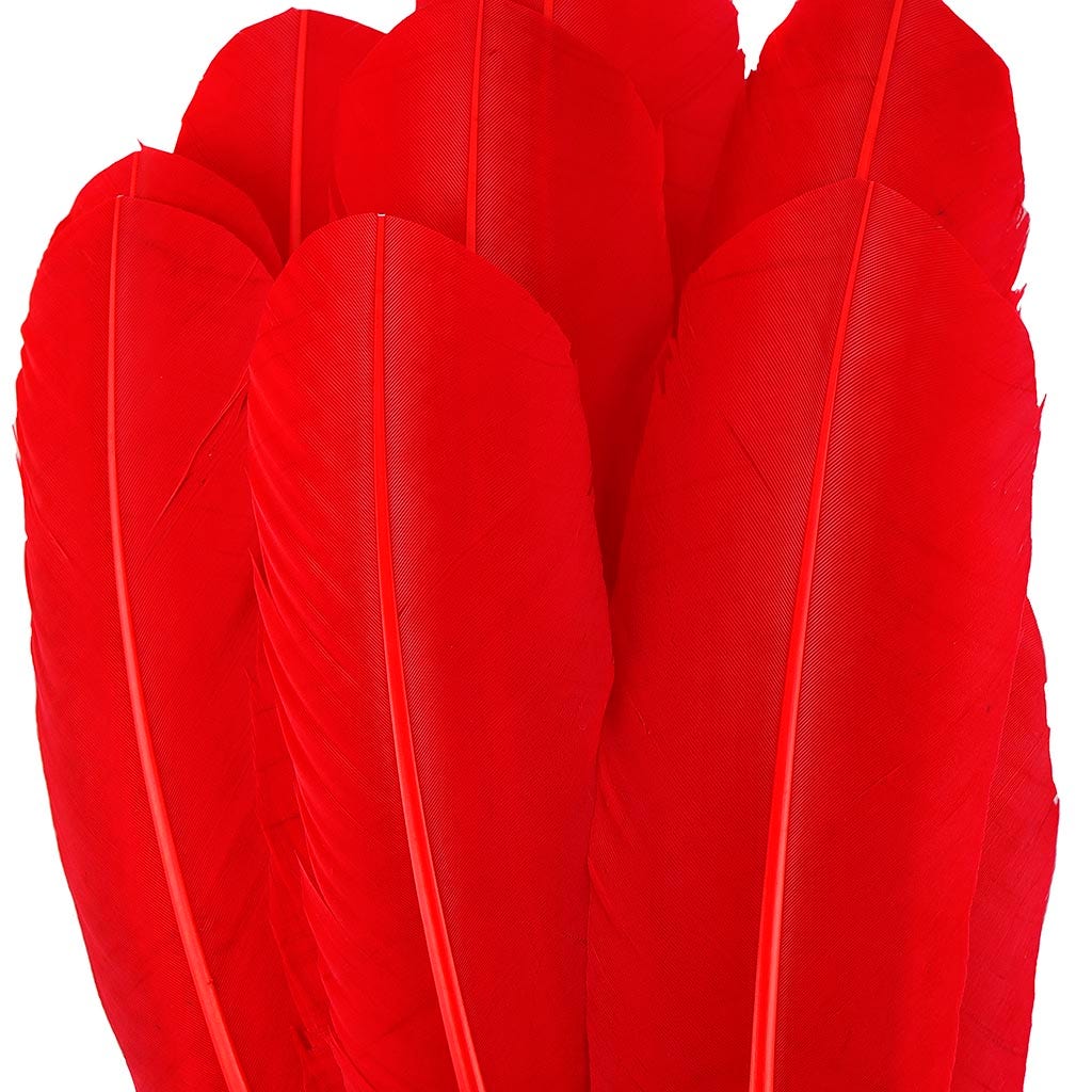 Turkey Quills Selected - Red