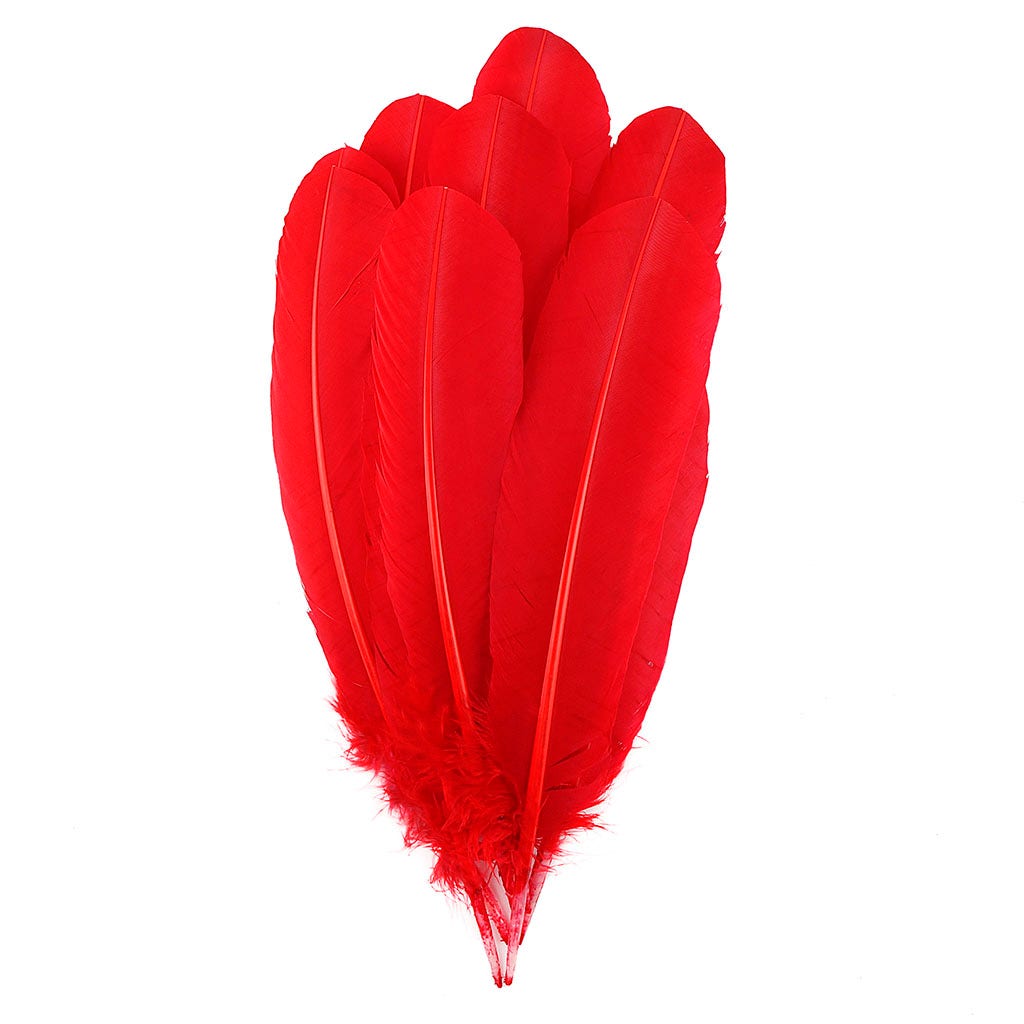 Turkey Quills Selected - Red