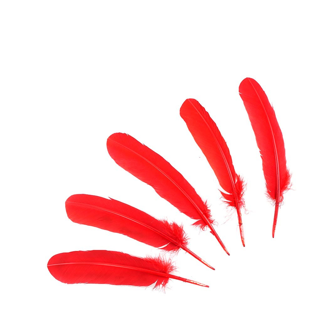 Turkey Quills by Pound - Left Wing - Red