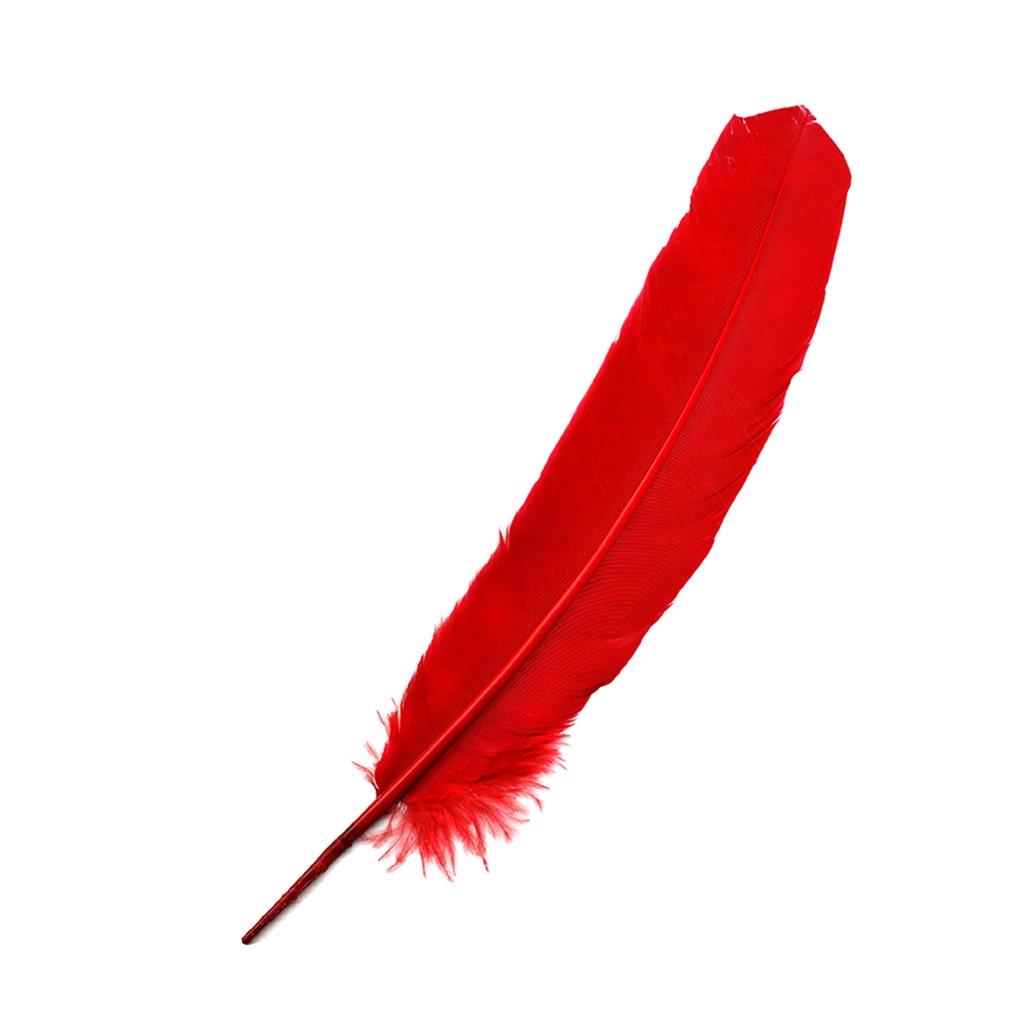 Parried Turkey Quills Selected - Red