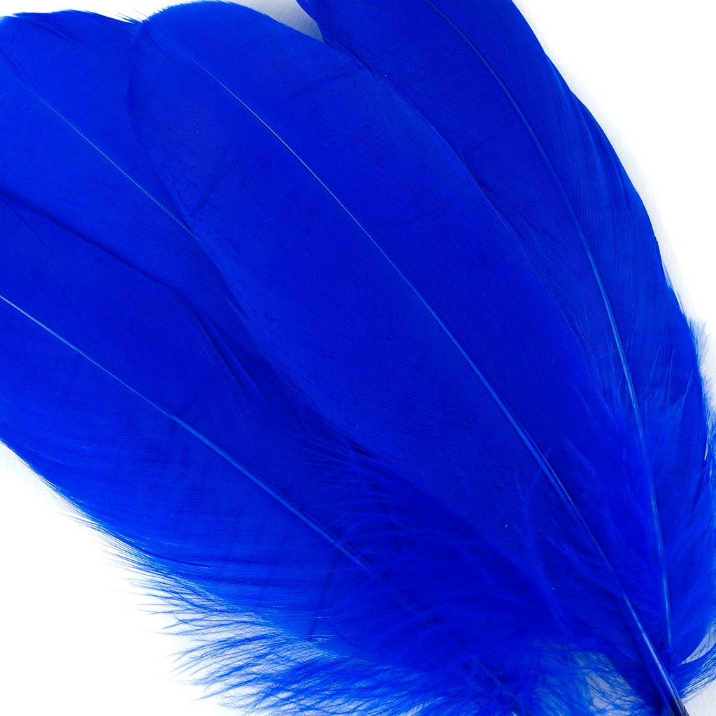 Bulk Goose Pallet Feathers 6-8 Inch - 1/4 LB - Royal
