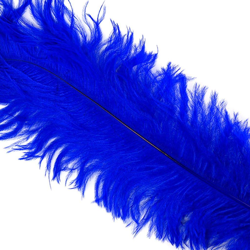 Ostrich Feathers-Narrow Drabs - Royal