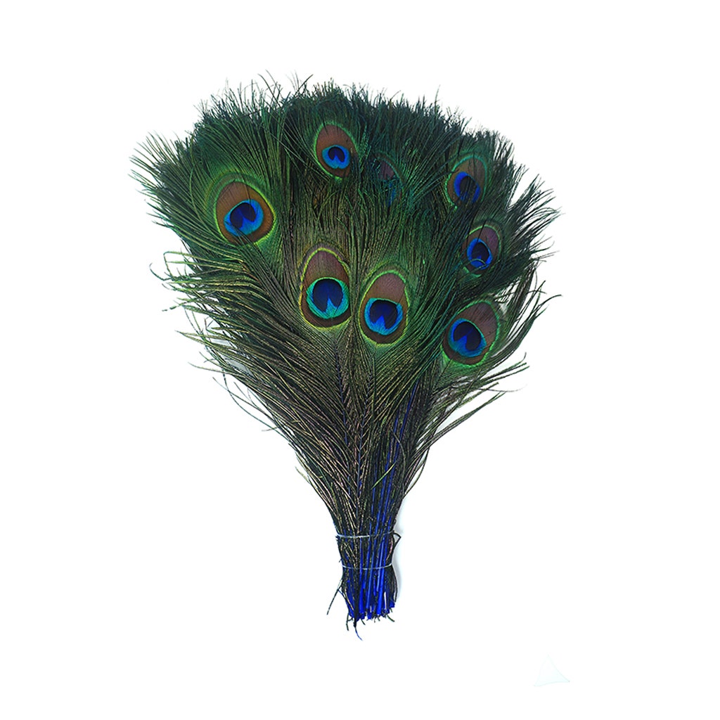 Peacock Tail Eyes Stem Dyed - Royal