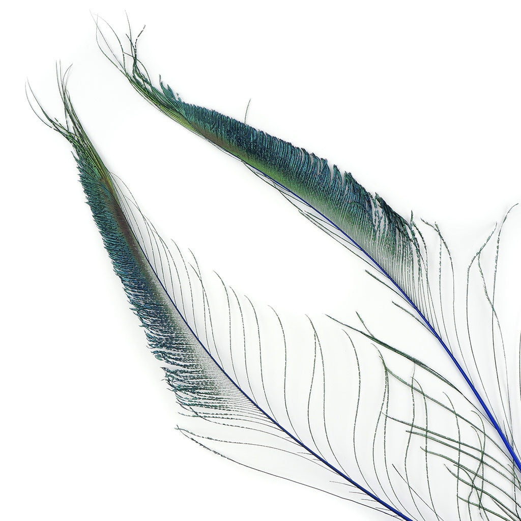 Bulk Peacock Sword Feathers Stem Dyed - 100 pc - 25-40" - Royal