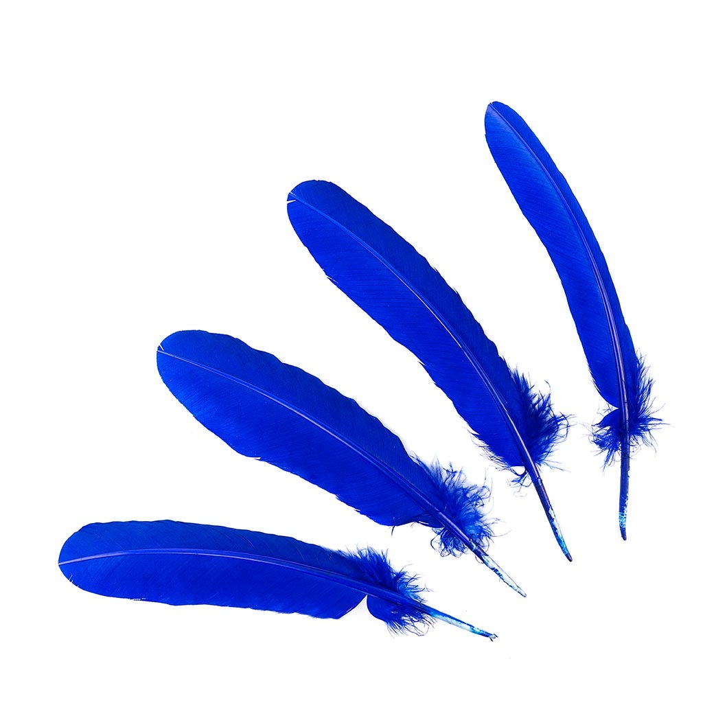 Turkey Quills Dyed - Royal