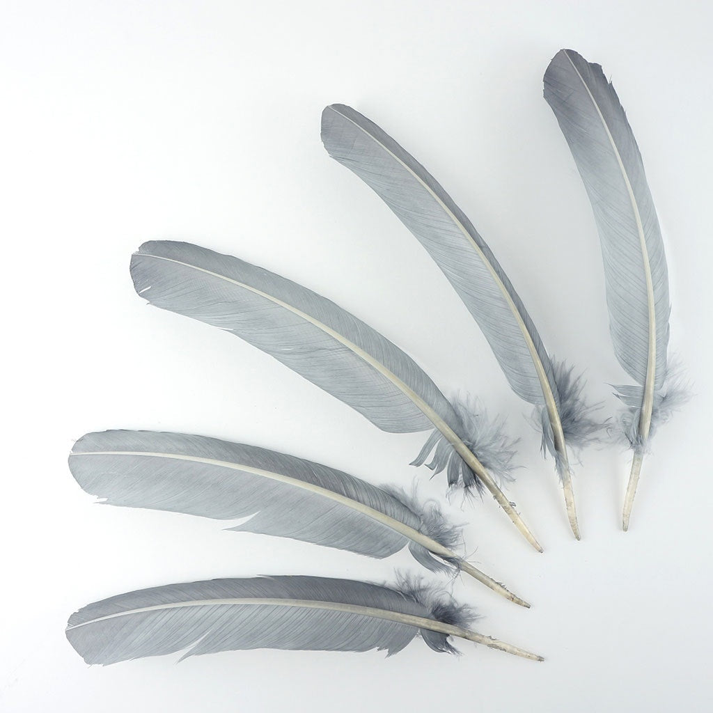 Turkey Quills Selected Silver