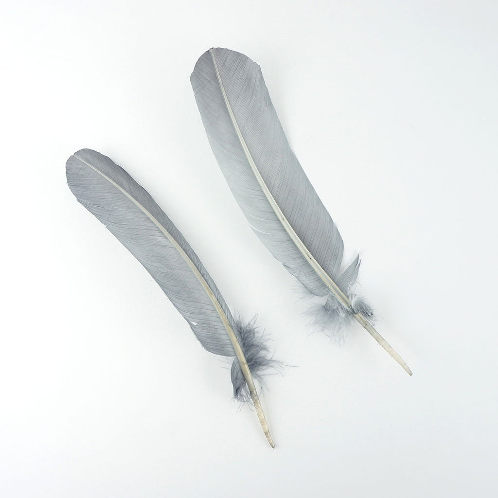 Turkey Quills Selected Silver