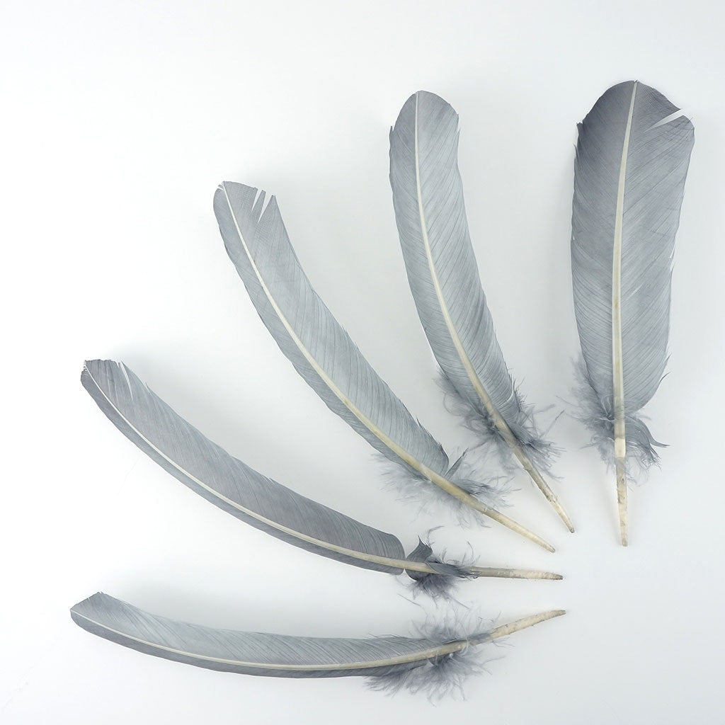 Turkey Quills Selected Silver