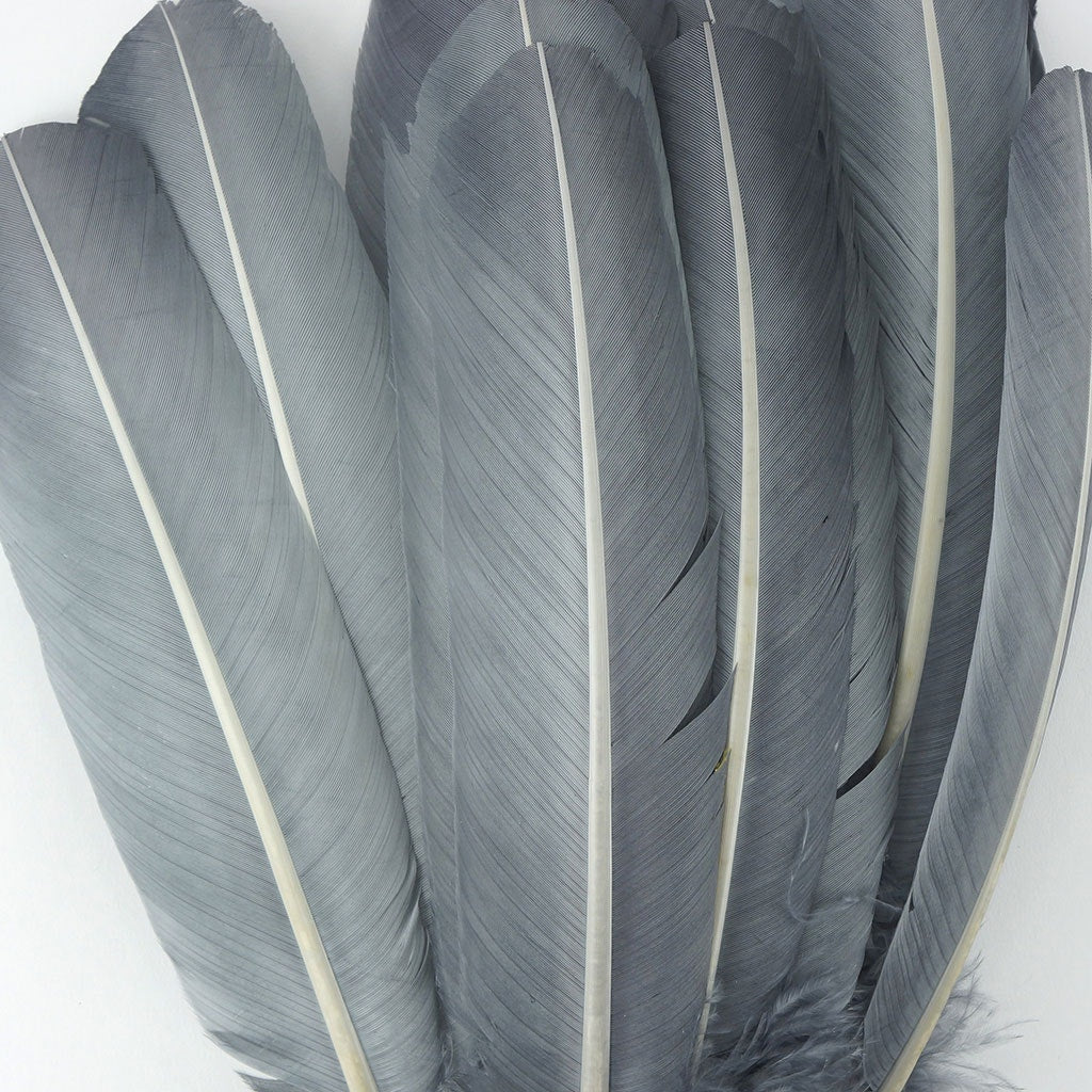 Turkey Quills by Pound - Left Wing - Silver