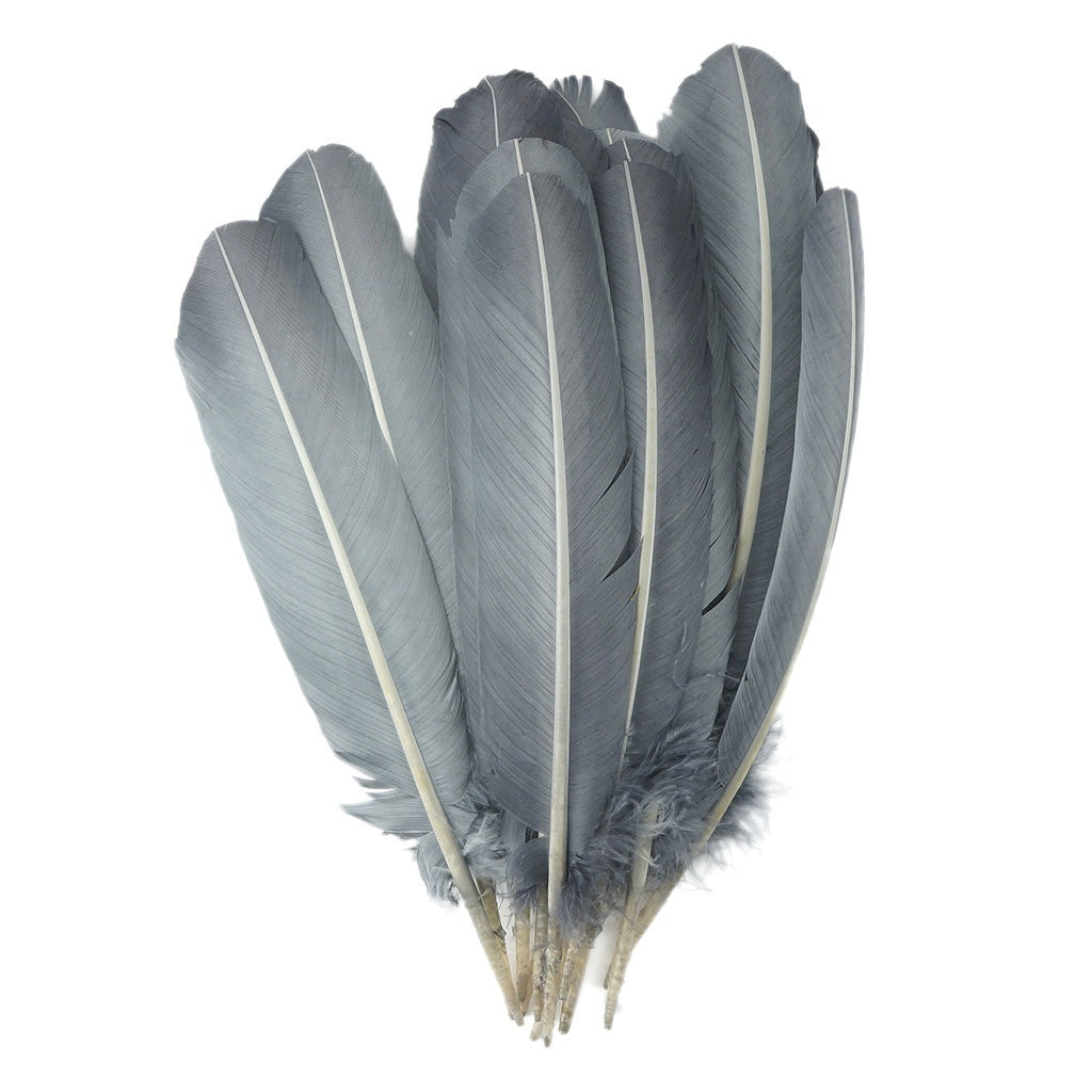 Turkey Quills by Pound - Left Wing - Silver