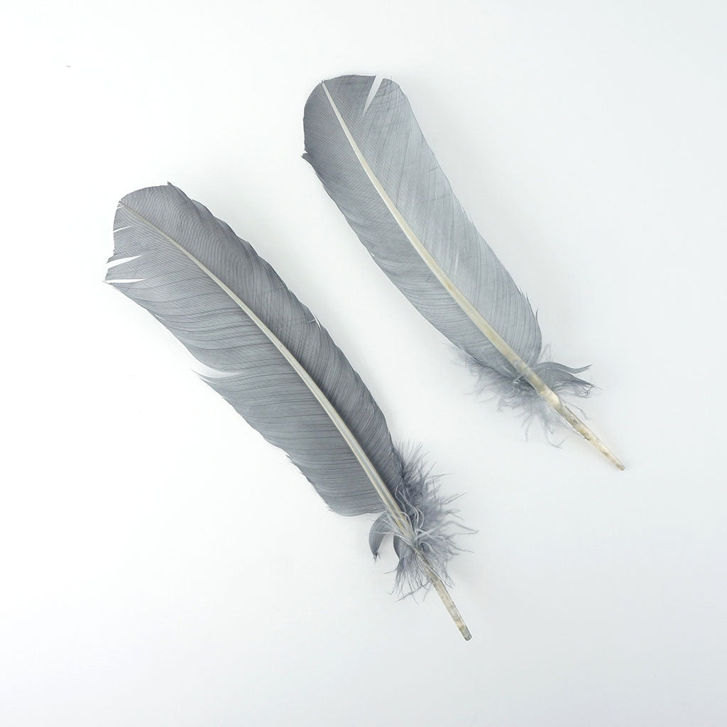 Turkey Quills by Pound - Right Wing - Silver
