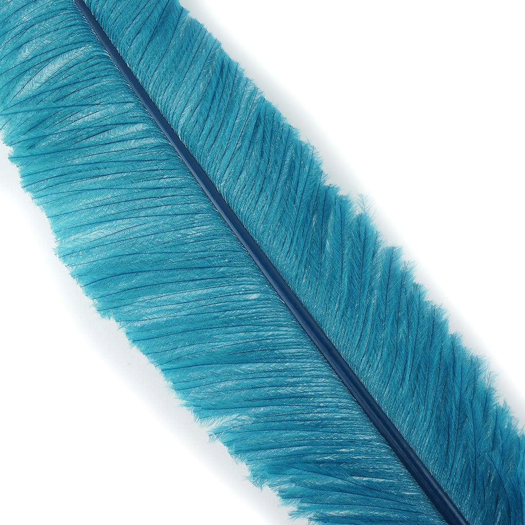 Ostrich Nandu Selected Feathers - 12 PCS - Peacock Blue