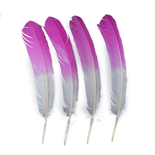 Ombre Turkey Quill Feathers 10-12" Dip .25 lb - Very Berry/Silver