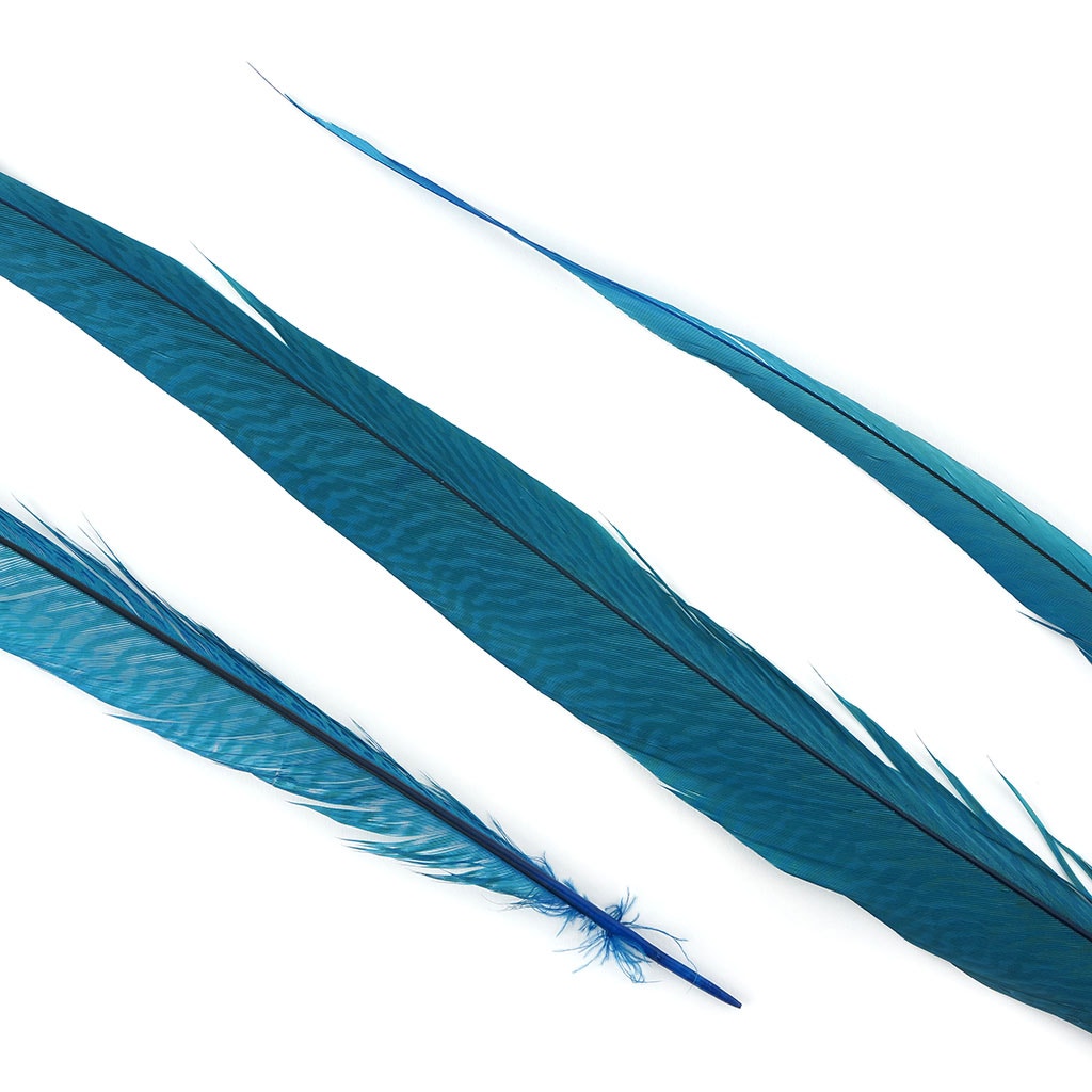 BGP30B Golden Pheasant Tails 25-30" Bleached & Dyed (3 Pieces Per Package) Dark Turquoise